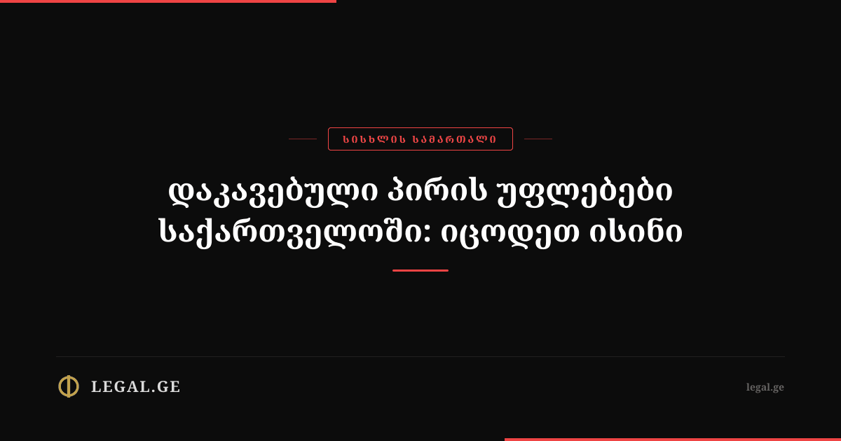 Rights of a Detained Person in Georgia: Know Them